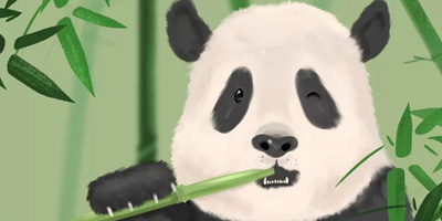 首個中國大熊貓國際形象出爐，網(wǎng)友看后不經(jīng)“噗”的笑出聲