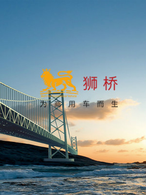 獅橋資本網(wǎng)頁(yè)設(shè)計(jì)